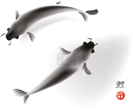 Couple of koi carp