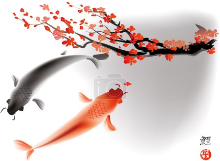 Koi carps and sacura branch