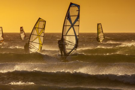 Windsurfing in sunset time.