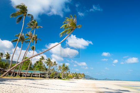 beach view at samui aquarium and zoo