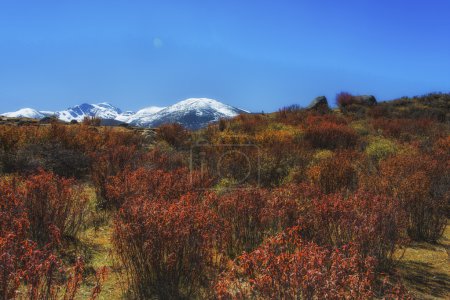 China Sichuan xindu bridge, Inagi Aden, scenic autumn beauty