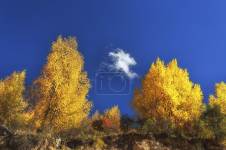 China Sichuan xindu bridge, Inagi Aden, scenic autumn beauty