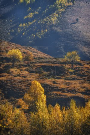 China Sichuan xindu bridge, Inagi Aden, scenic autumn beauty