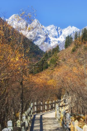 China Sichuan xindu bridge, Inagi Aden, scenic autumn beauty