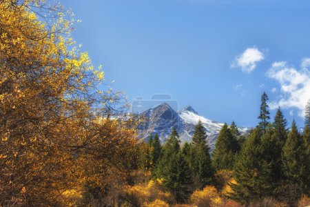 China Sichuan xindu bridge, Inagi Aden, scenic autumn beauty