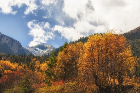 China Sichuan xindu bridge, Inagi Aden, scenic autumn beauty