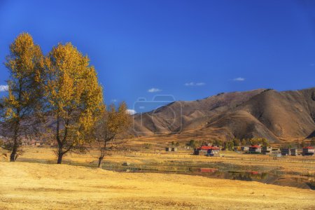 China Sichuan xindu bridge, Inagi Aden, scenic autumn beauty