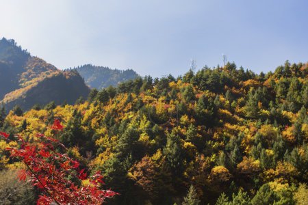 China Sichuan xindu bridge, Inagi Aden, scenic autumn beauty