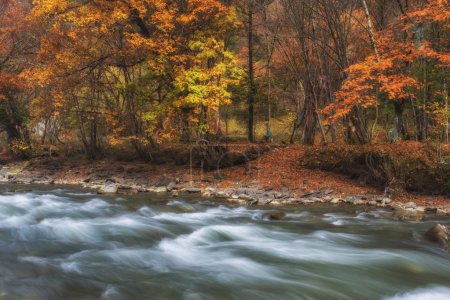 China Sichuan xindu bridge, Inagi Aden, scenic autumn beauty