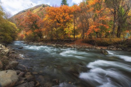 China Sichuan xindu bridge, Inagi Aden, scenic autumn beauty