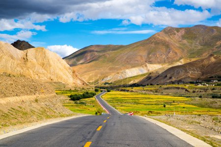 The road among landscape