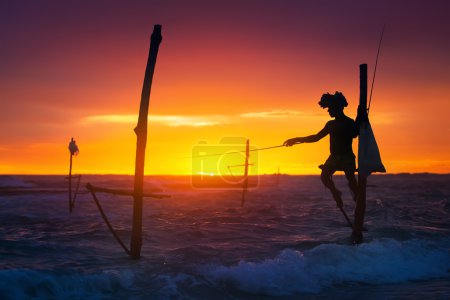 Sri Lanka's Stilt Fisherman