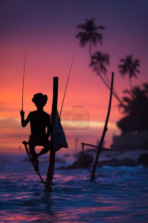 Sri Lanka's Stilt Fisherman.