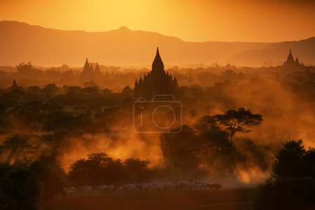 Bagan at sunset