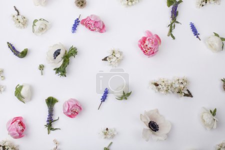 Heads of pastel, spring flowers