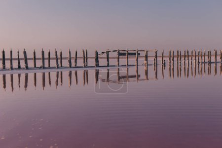 Beautiful landscape on a salty pink lake