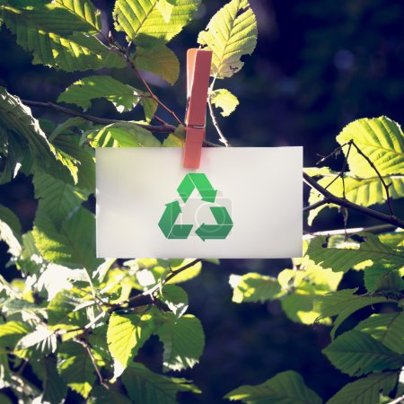 绿色环保生活方式