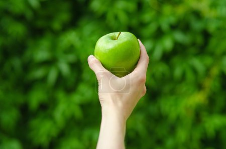 素食主义者和新鲜水果和蔬菜这一主题的性质: 人类的手一个绿色的苹果上绿草背景