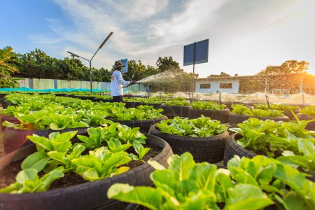 有机菜园里浇水系统