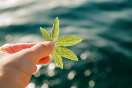 Leaf in hand on sea background