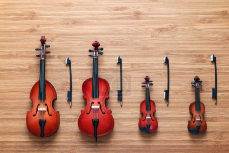 弦乐四重奏的四件乐器图片